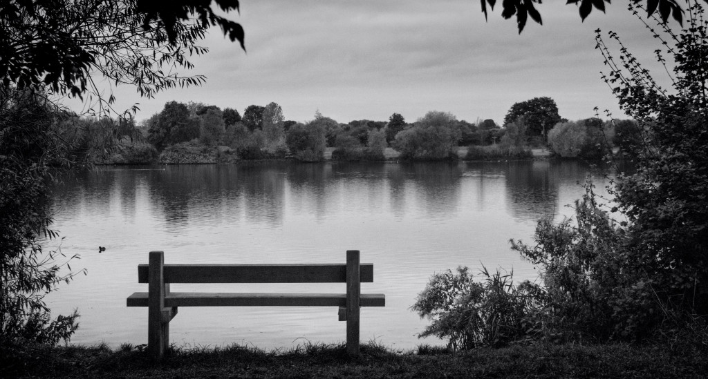 A bench next to a lake